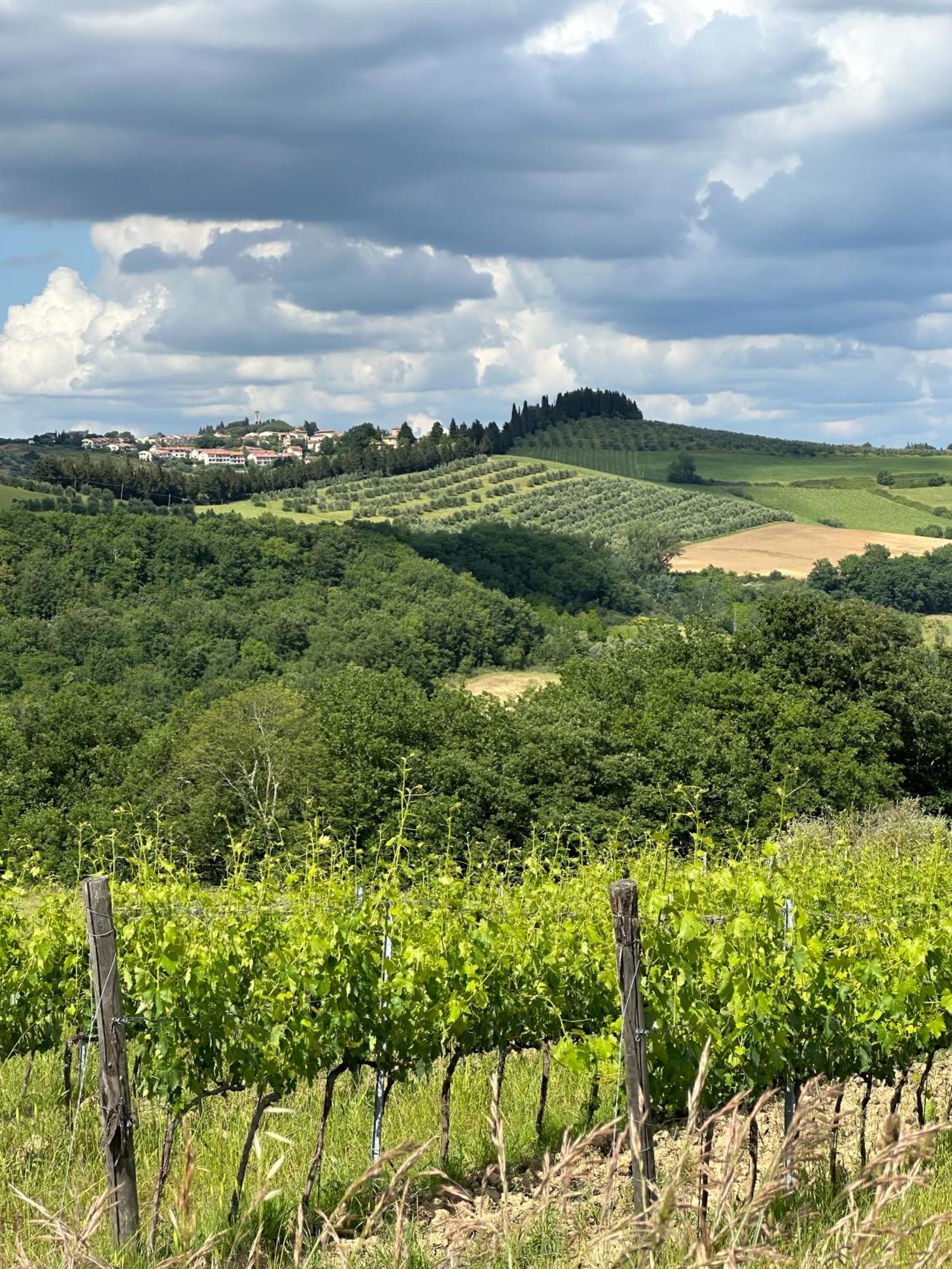 Agriturismo Fattoria Sant'Appiano Barberino Val d'Elsa Екстер'єр фото